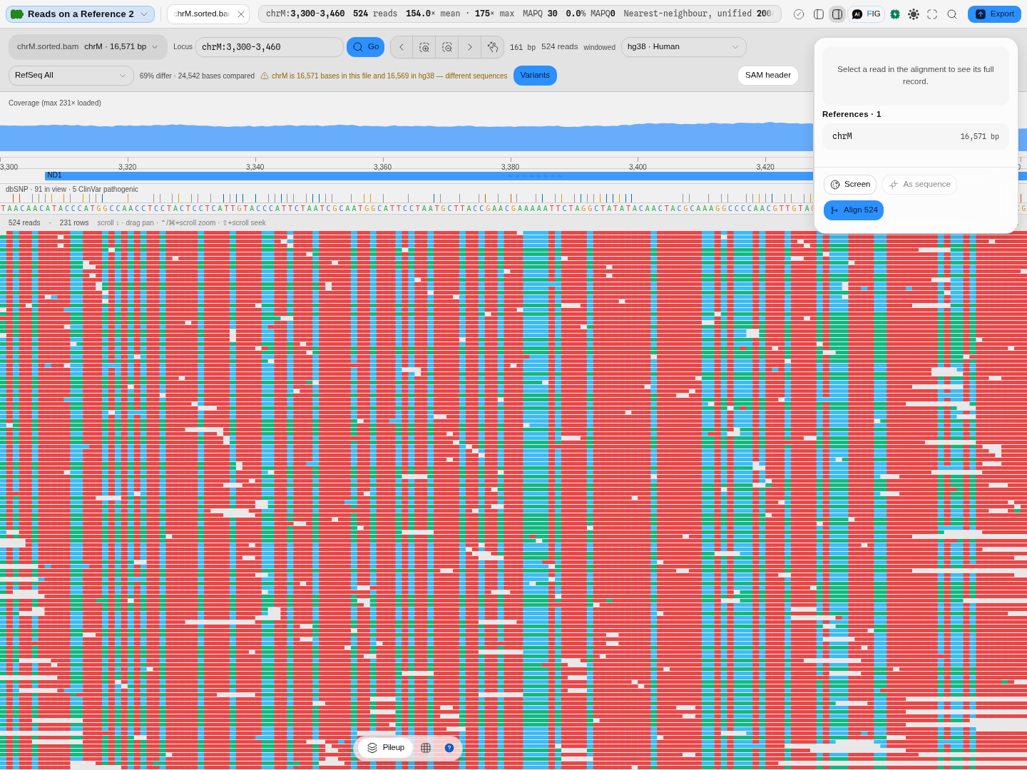 The same reads against an assembly they were not mapped to, with the reason stated rather than left to be inferred: the file says chrM is 16,571 bases and the assembly serves 16,569, so the viewer reports them as different sequences. 69% of the 24,542 compared bases differ, the gene models still resolve because that assembly carries mitochondrial annotation, and the 91 known variants in view are still drawn — every readout is honest, and the one that matters is the length.