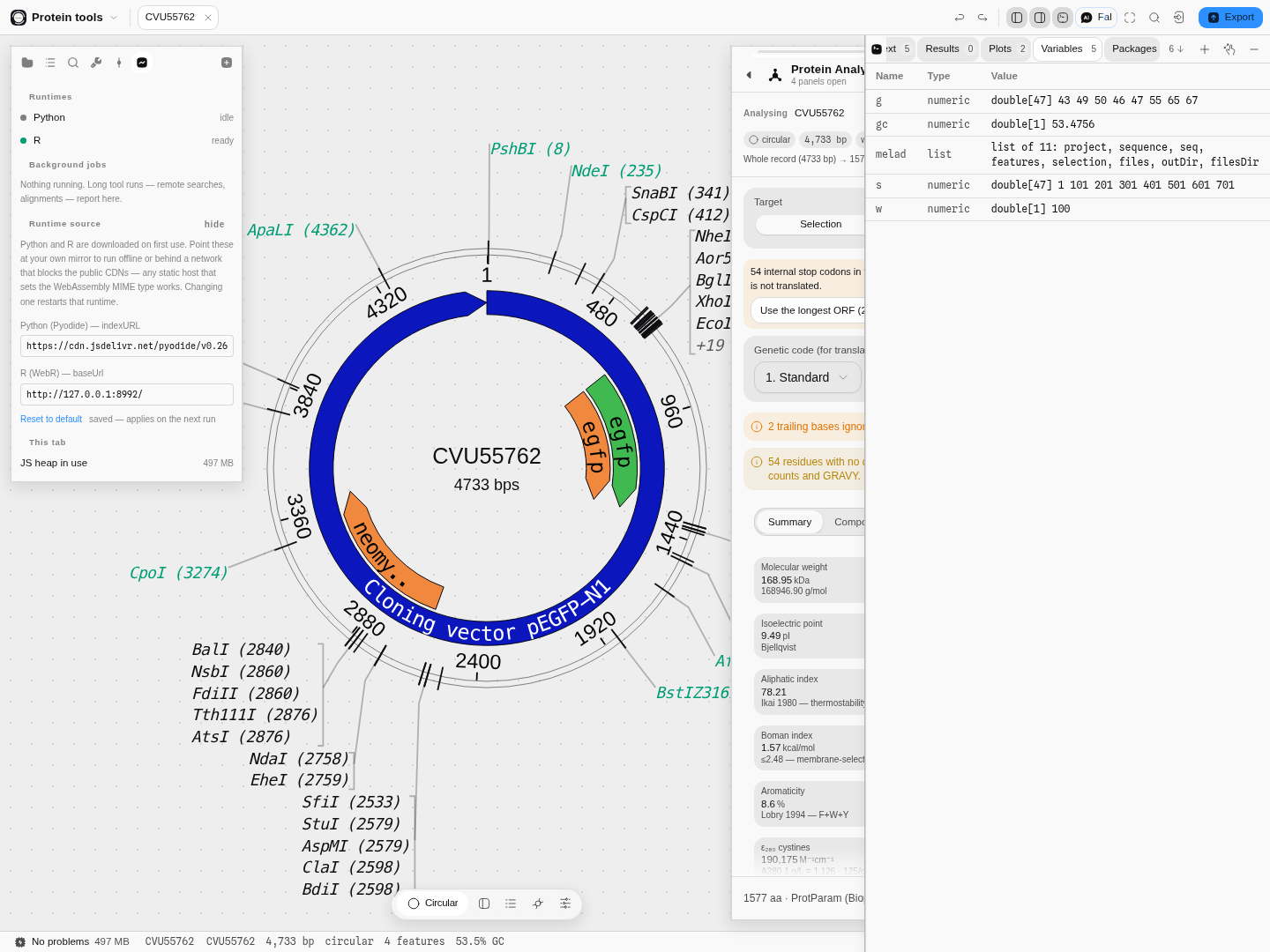 The R Variables tab listing the live workspace.