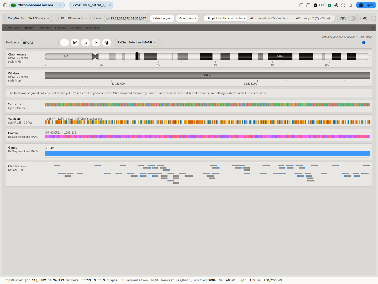 The Region tab on a GRCh38 OncoScan result, on BRCA2 exon 11 (chr13,332,272-32,333,387). The chromosome 13 ideogram marks the window at q13.1. Beneath it, on one axis: the reference bases; 1,054 dbSNP variants in view, 345 of them pathogenic in ClinVar; the NM_000059.4 protein residues 266 to 636 in colour; the BRCA2 transcript; and 69 SpCas9 sites, forward-strand sites above reverse-strand ones, each with its PAM in blue.