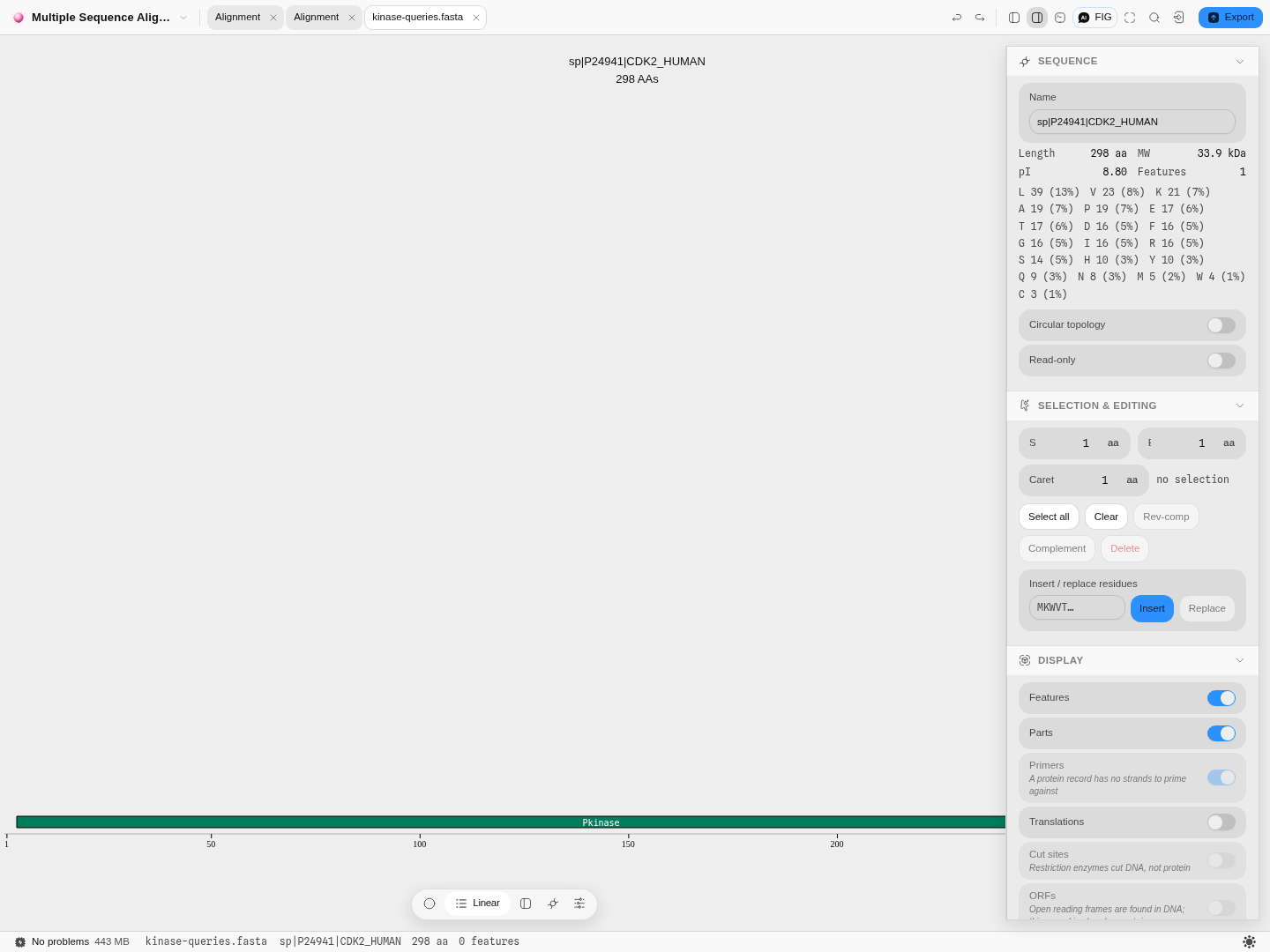 A Pfam kinase domain drawn on CDK2's own map