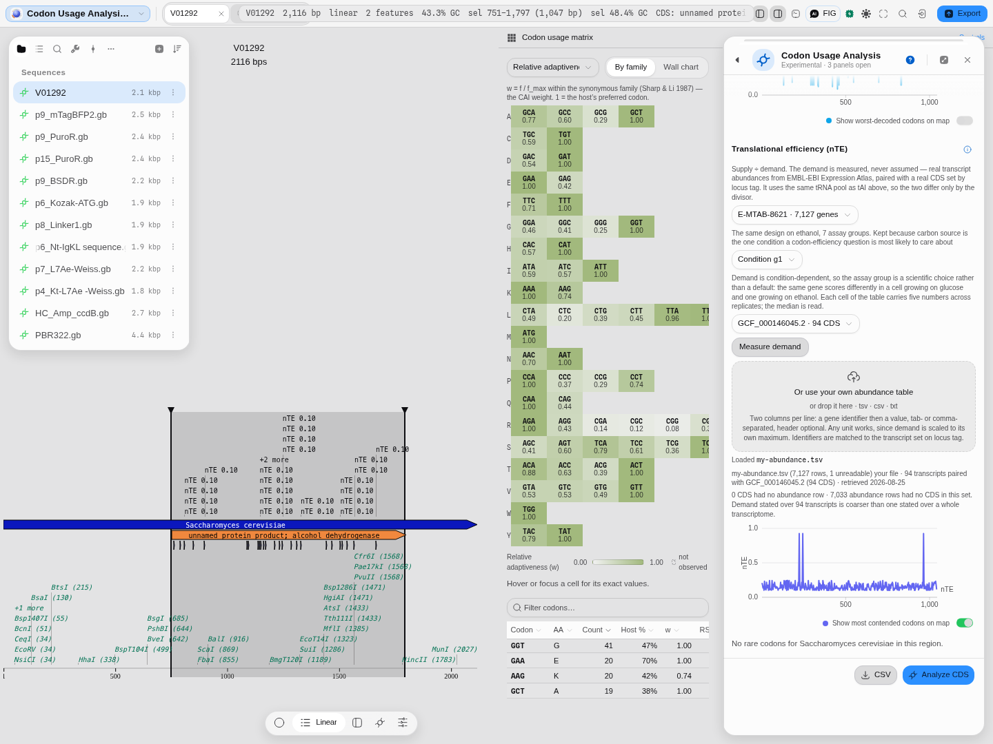 The nTE section scoring yeast ADH1 against the S288c tRNA pool, with demand measured from Expression Atlas E-MTAB-8626 condition g1 paired with all 94 chromosome-I CDS: nTE 0.148, the per-codon profile drawn, and the contended codons marked on the map behind it.