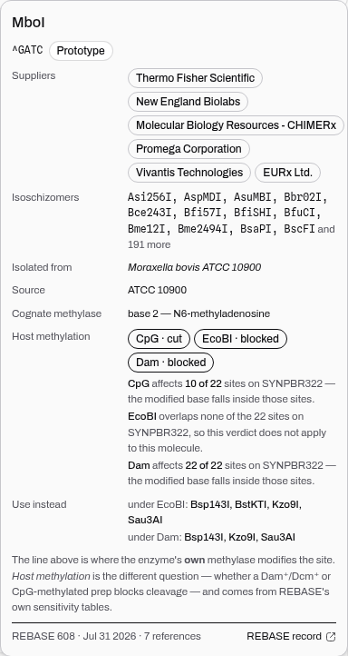 MboI on pBR322: Dam on all 22 sites, CpG on 10, EcoBI on none