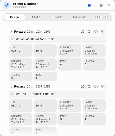 Every designed primer carries both specificity controls: the magnifier searches the open molecule, the globe searches a database