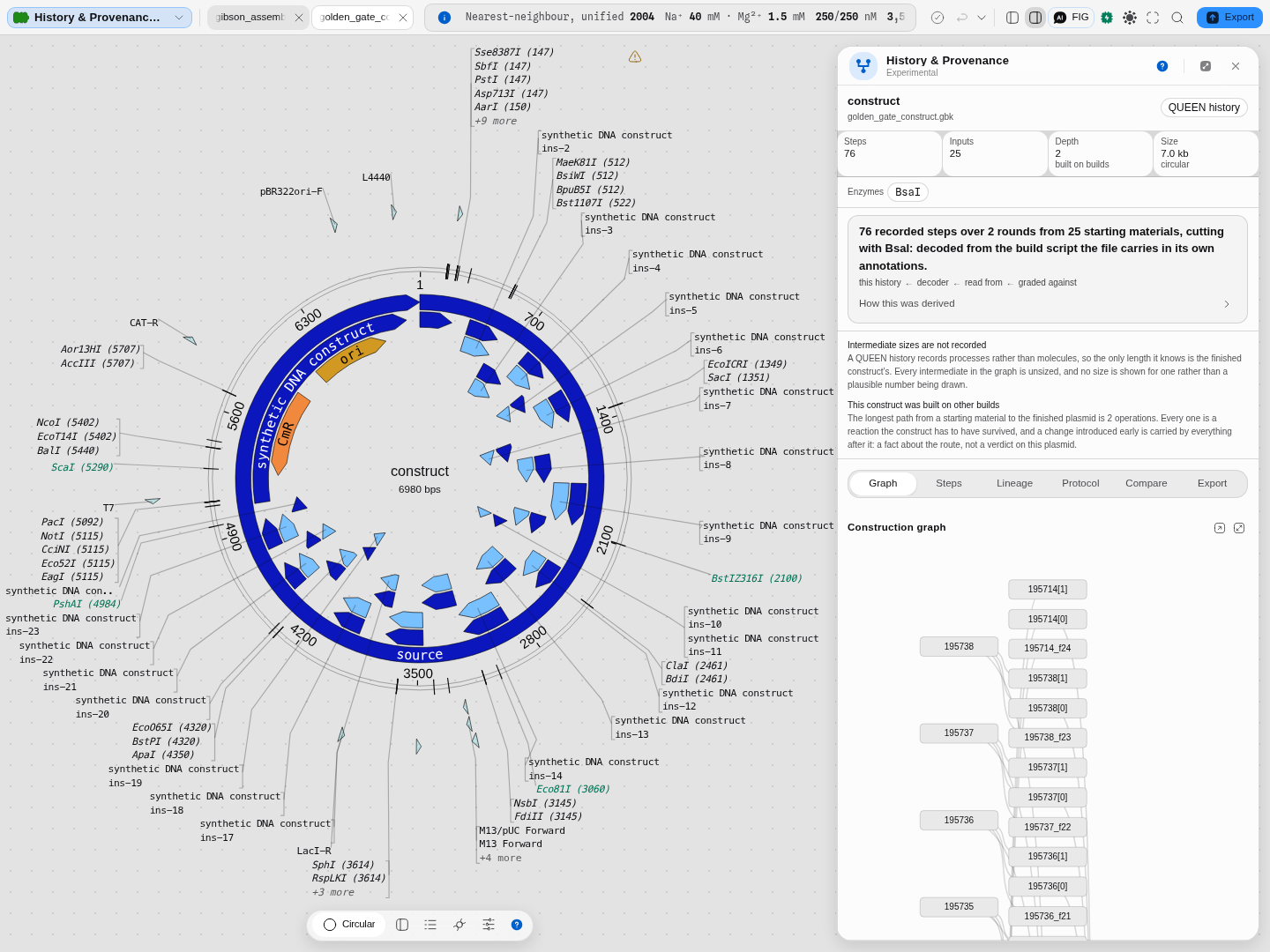 A 76-step Golden Gate build: 76 steps, 25 inputs, depth 2, 7.0 kb circular, cutting with BsaI