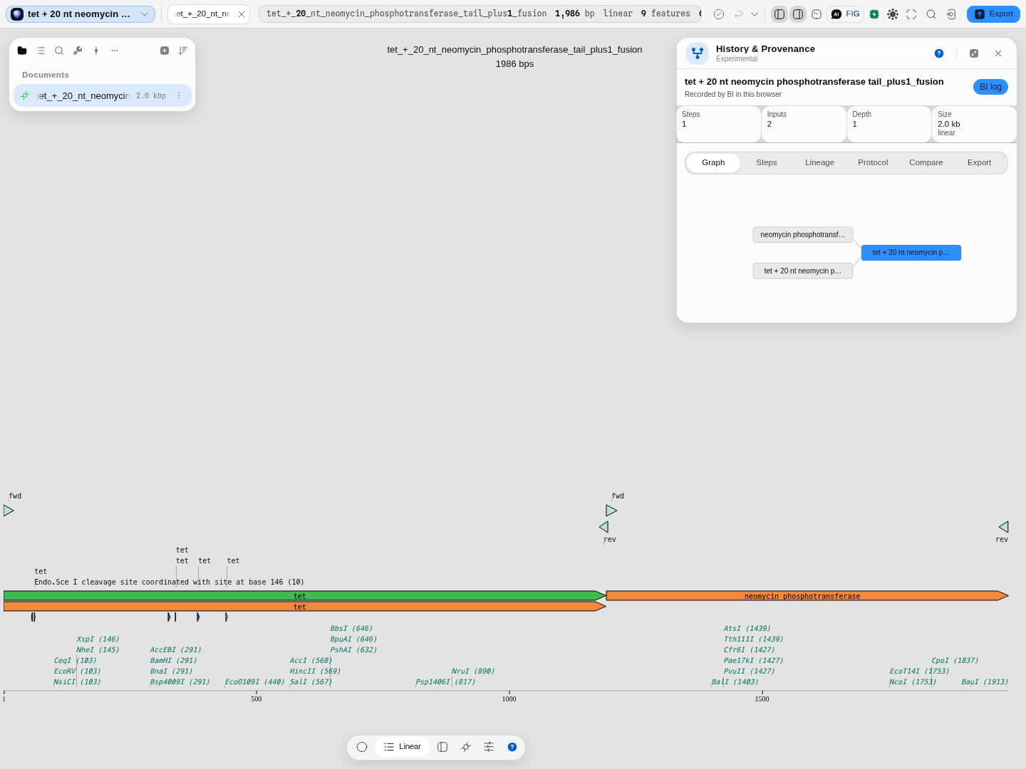 The fused product's history: two inputs, both drawn as parents, 2.0 kb linear