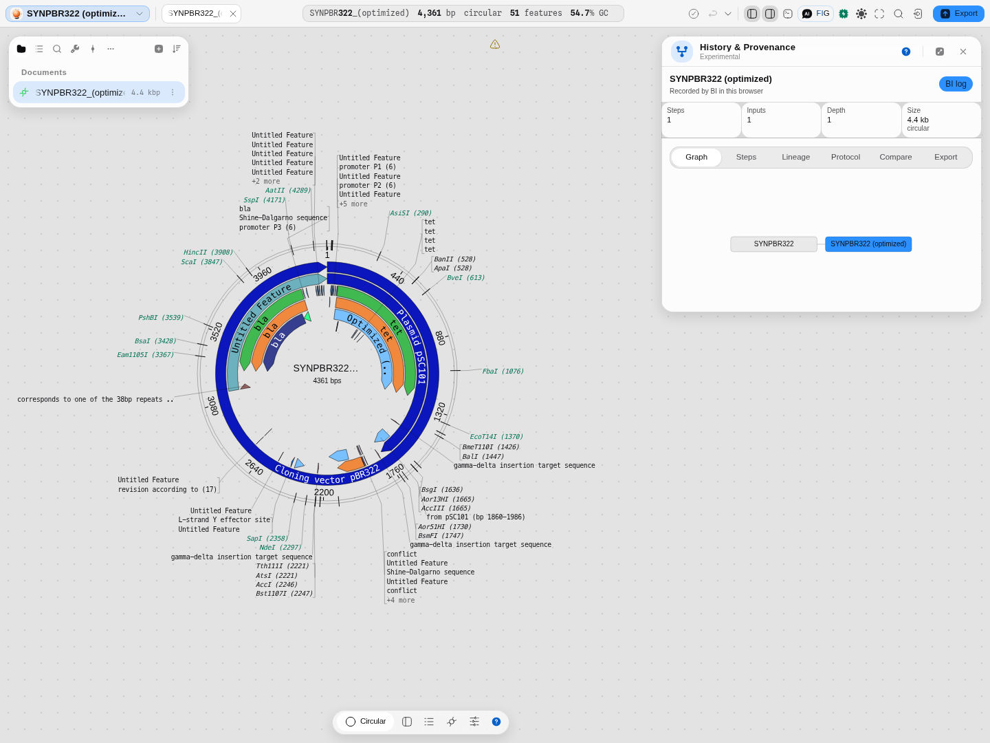 The optimized sequence's history: one input, 4.4 kb circular — the source topology is preserved