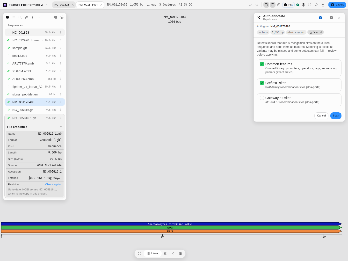 The same row reporting that the stored copy is the version NCBI
serves.