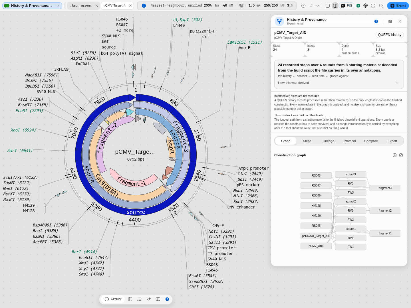 The History & Provenance panel on a real QUEEN build: 24 steps, 8 inputs, depth 4, 8.8 kb circular, with the process-flow graph
